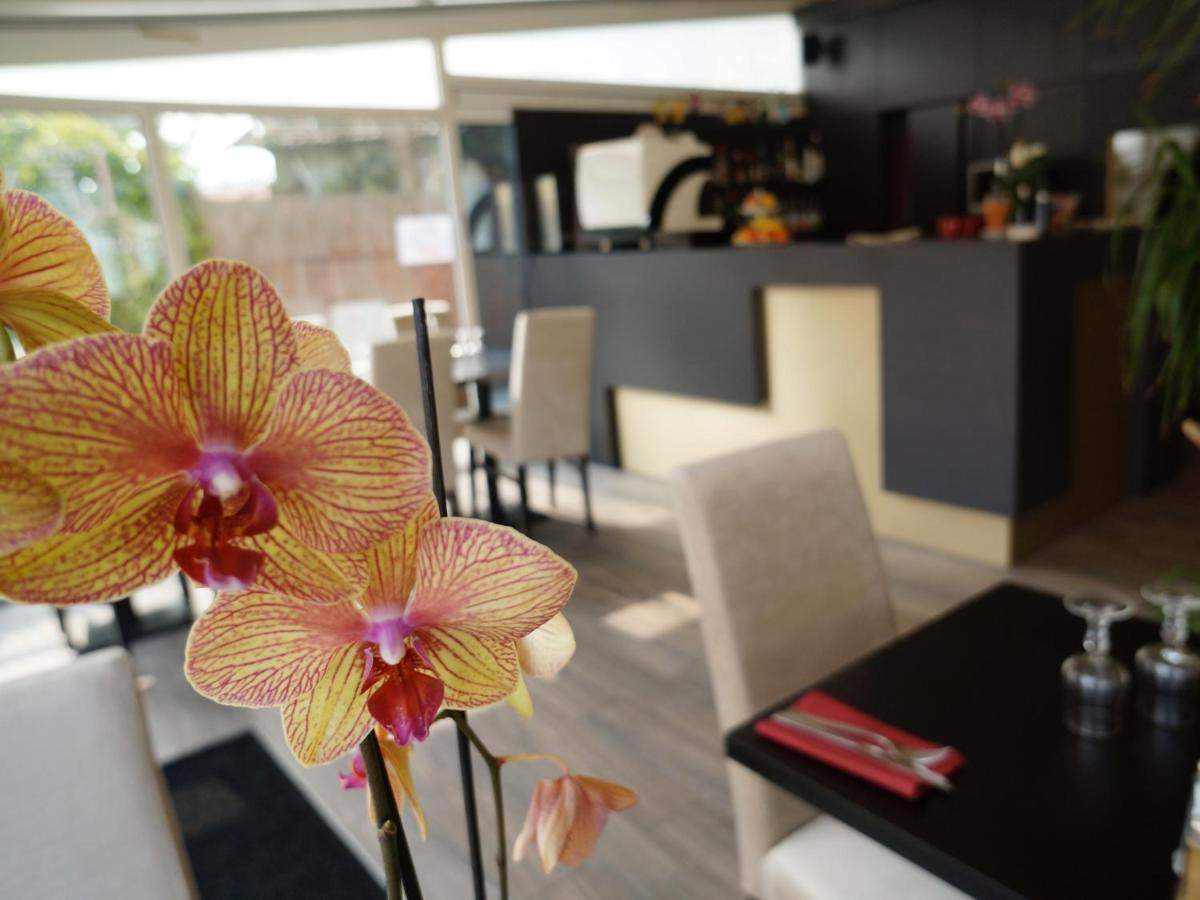 Hotel Et Studios Le Marina Baie De La Baule 波尔尼谢 外观 照片